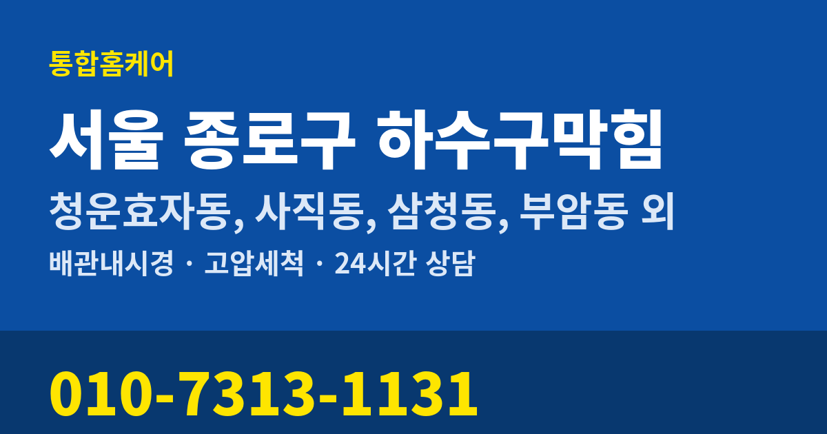 서울 종로구 하수구막힘 통합홈케어 010-7313-1131